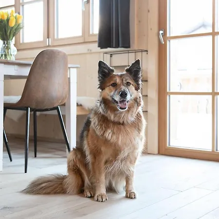 Ferienhaeuser Gerhart דירה