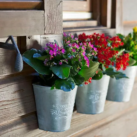 דירה Ferienhaeuser Gerhart האוס