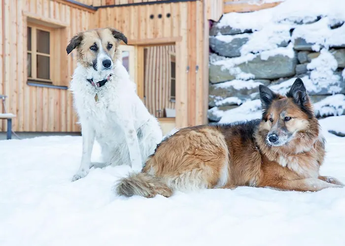 Ferienhaeuser Gerhart Haus im Ennstal