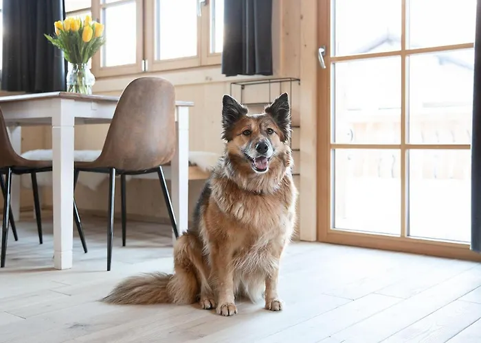 Ferienhaeuser Gerhart Appartement