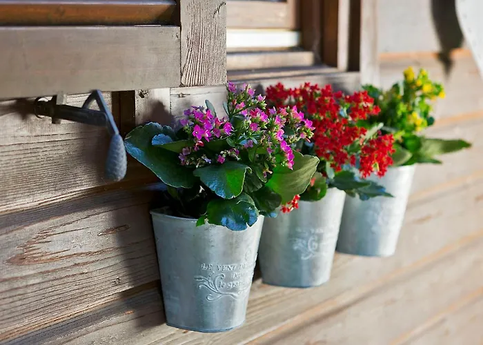 Apartment Ferienhaeuser Gerhart Haus im Ennstal